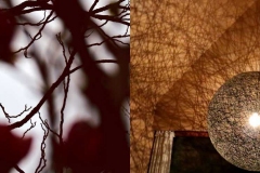 Licht-Schatten-Spiele aus der Natur