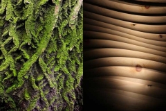 Strukturen aus der Natur wirken vertraut