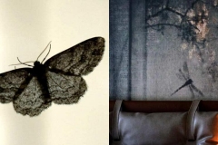 Wohlfühloase mit Cocooning-Trend