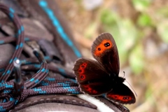 Der schönste Glücksmoment: Eins mit der Natur sein