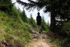 Auf Wanderpfaden ins Glück
