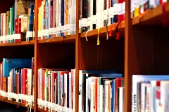 Bibliothek im Juffing