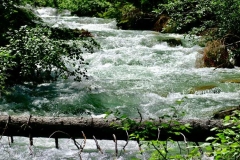 Bergfluss im Nationalpark Hohe Tauern