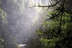 Nebel am Gößnitz-Wasserfall