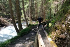 Wasserrinnen am Waldlehrpfad Natura Mystica