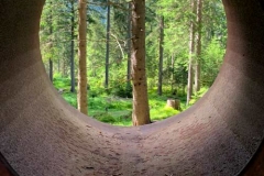 Wald erleben